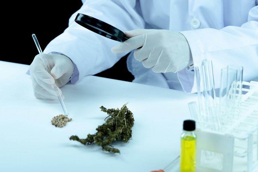 The Ultimate Guide to Logan Dispensary: What Everyone Should&nbsp;Know