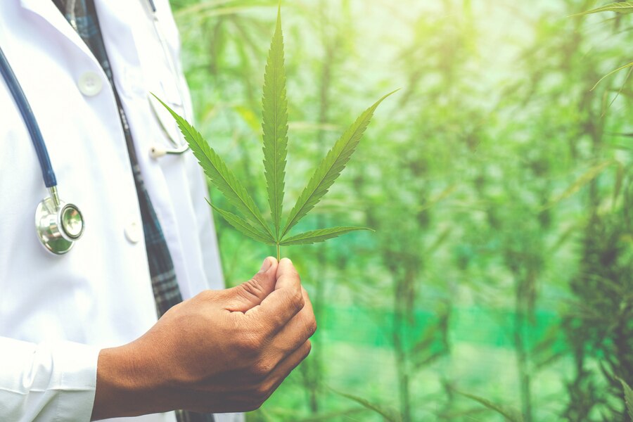 Exploring the World of Cannabis: A Guide to Finding the Best Dispensary in Toowoomba